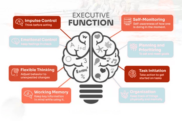 Brain infographic illustrating executive function skills.