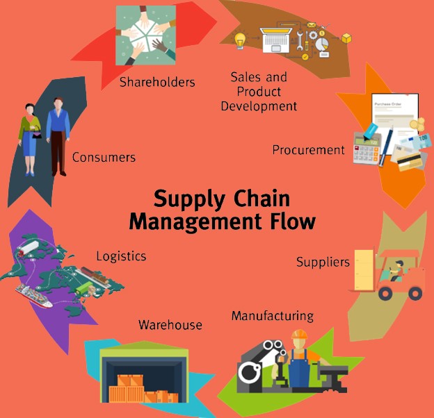 Circular supply chain management flow infographic