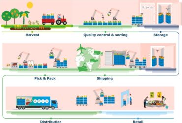 Food supply chain process illustration.