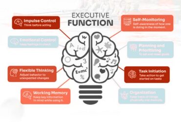 Brain infographic illustrating executive function skills.